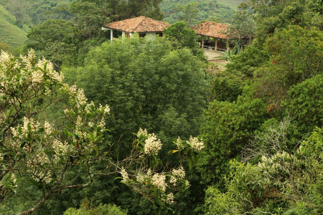Eco Hotel El Columpio Salento Eksteriør billede