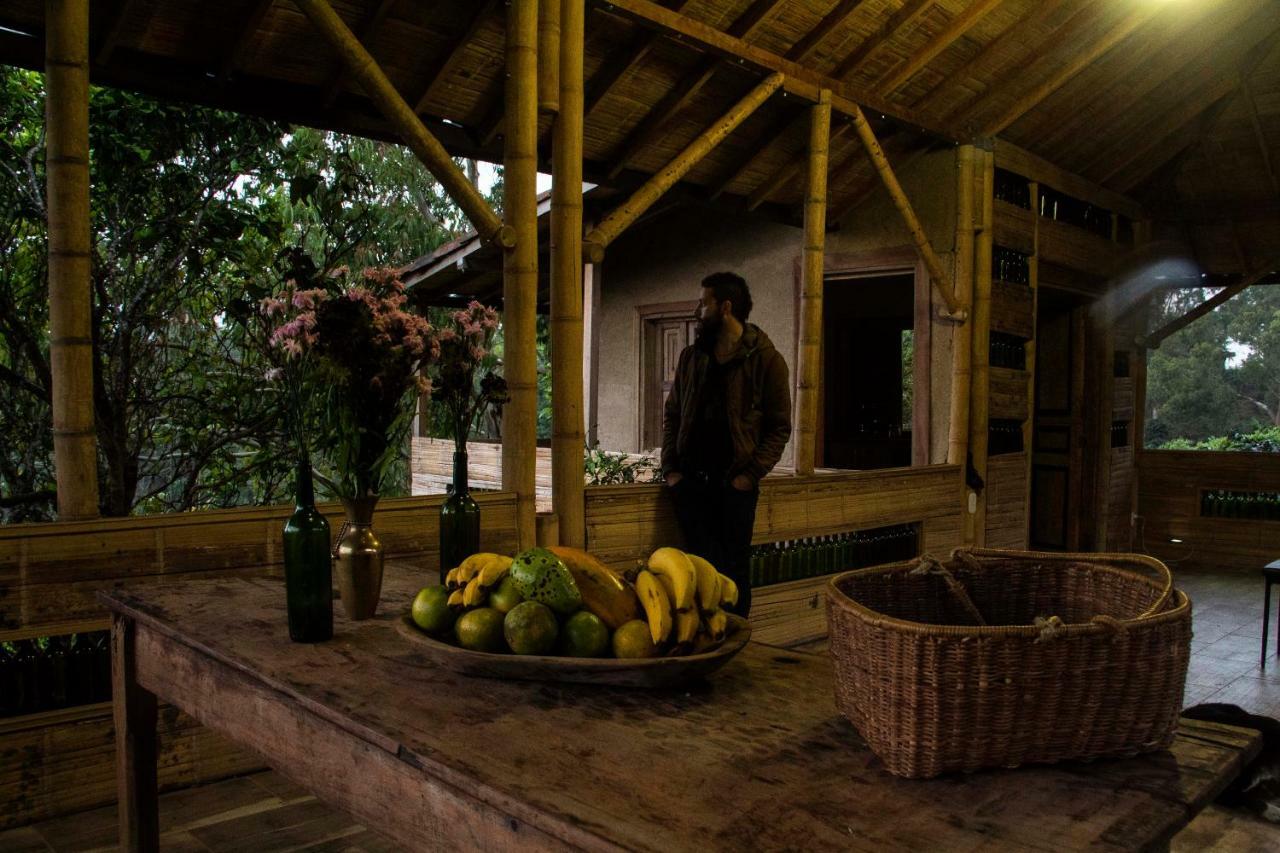 Eco Hotel El Columpio Salento Eksteriør billede